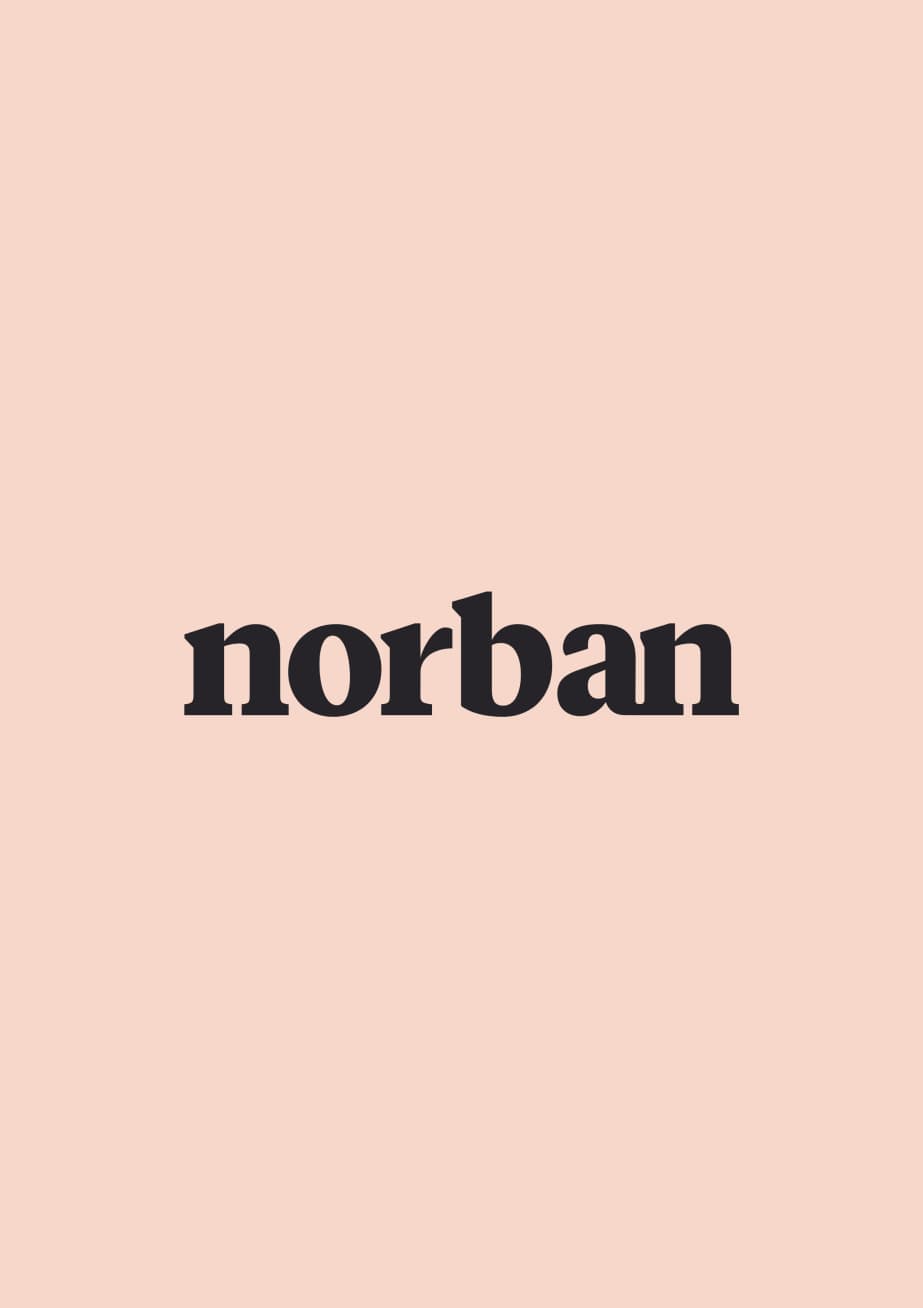 Norban-Brand-Logo-1
